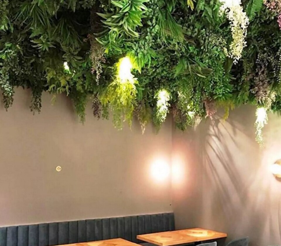 Soffitto con Vegetali Verdi Pendentii - Sconto per Fioristi e Aziende - Per esterno ed interno