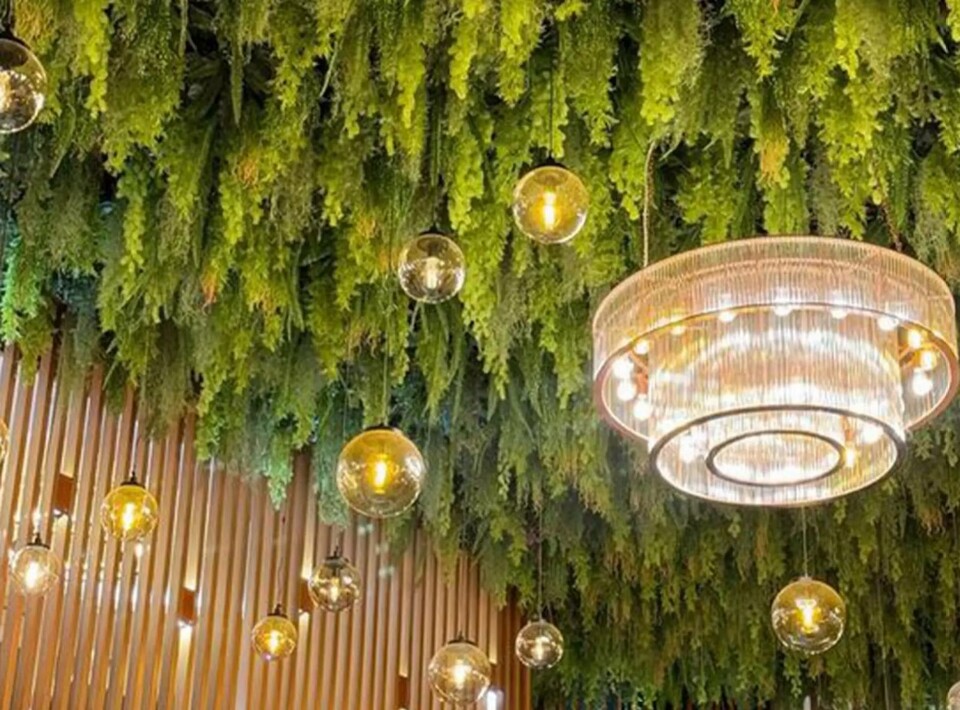 Soffitto con Vegetali Verdi Pendentii - Sconto per Fioristi e Aziende - Per esterno ed interno