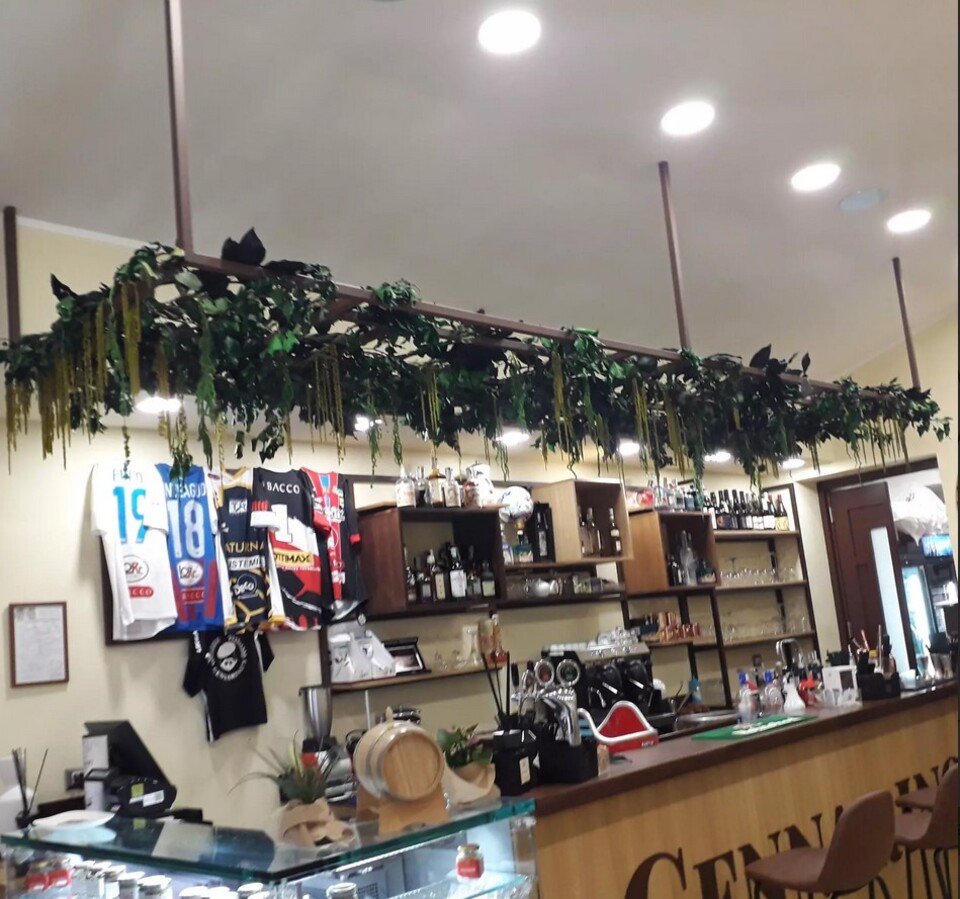 Soffitto con Vegetali Verdi Pendentii - Sconto per Fioristi e Aziende - Per esterno ed interno