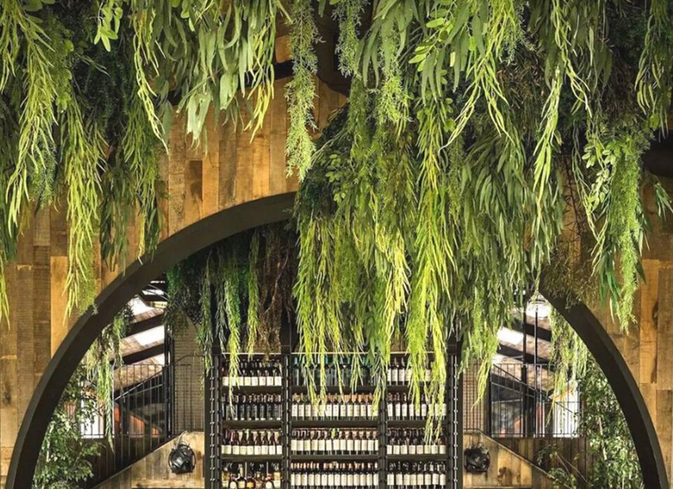 Soffitto con Vegetali Verdi Pendentii - Sconto per Fioristi e Aziende - Per esterno ed interno