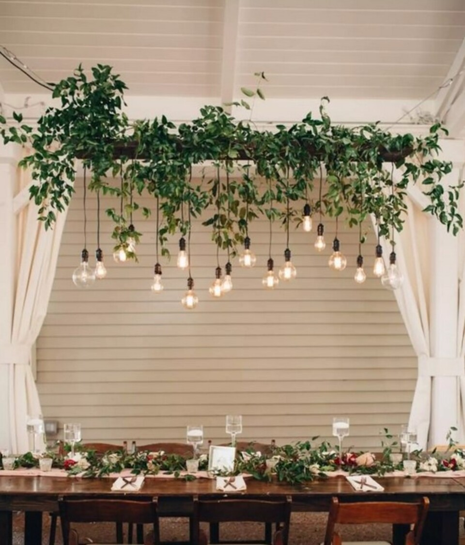 Soffitto con Vegetali Verdi Pendentii - Sconto per Fioristi e Aziende - Per esterno ed interno