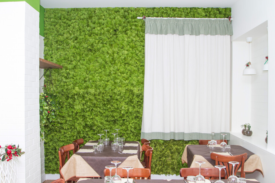 Parete Moss Stabilizzata - Mod. Pepe Verde . - Wall Moss a metro quadrato