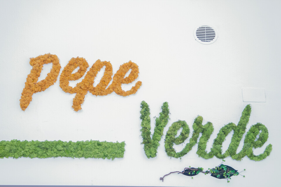 Parete Moss Stabilizzata - Mod. Pepe Verde . - Wall Moss a metro quadrato