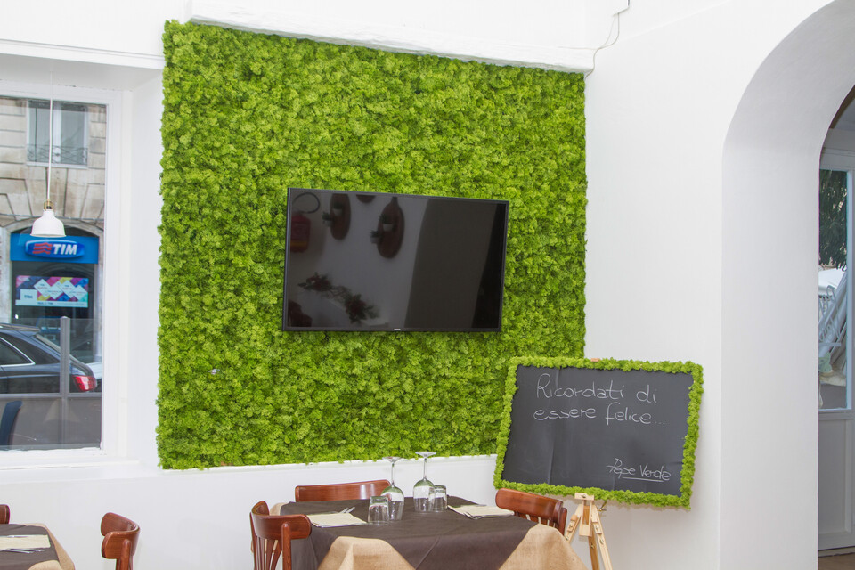 Parete Moss Stabilizzata - Mod. Pepe Verde . - Wall Moss a metro quadrato