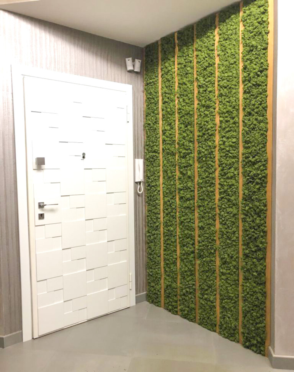 Parete Moss Stabilizzata - Mod. PT.2019 . - Wall Moss a metro quadrato