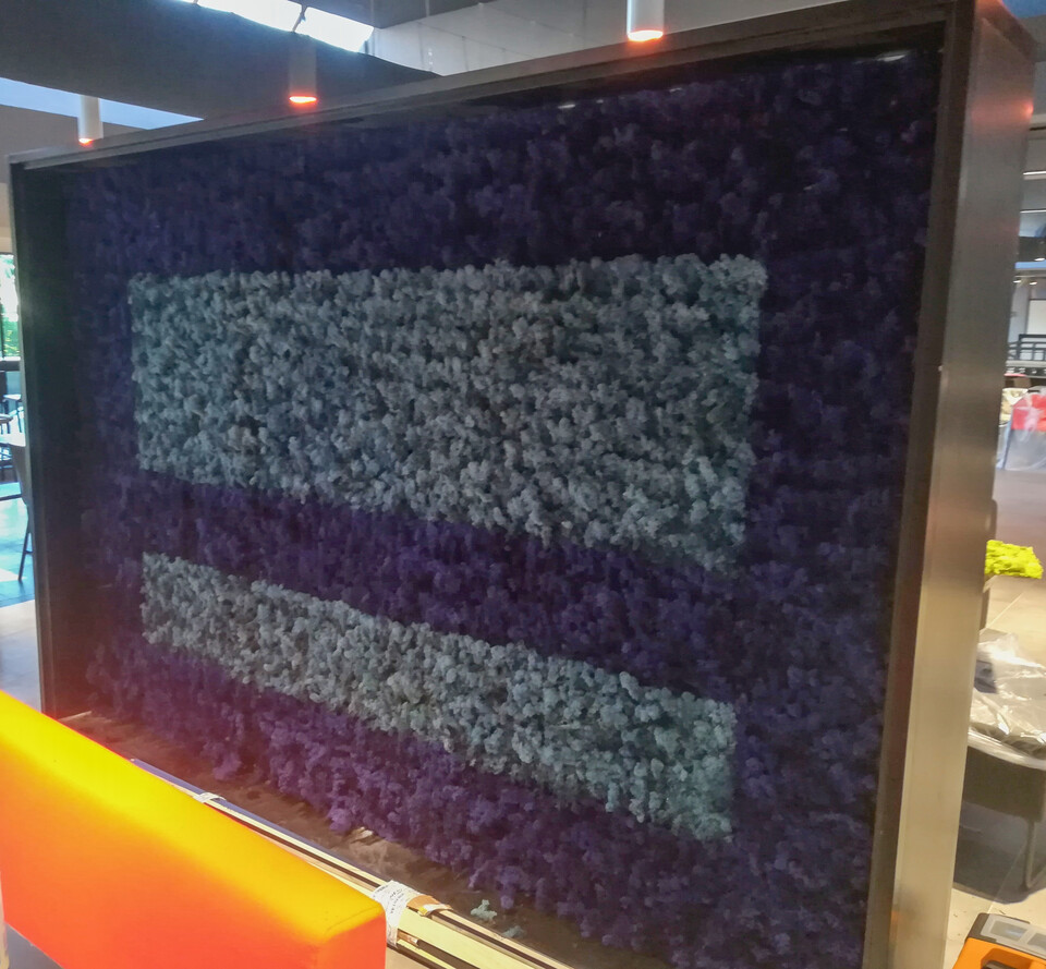 Parete Moss Stabilizzata - Mod. PA.2018 . - Wall Moss a metro quadrato