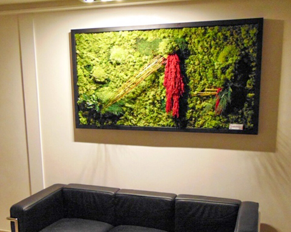 Giardini Vegetali Preservati - Mod. AV 2015 . - Adatto per Interno