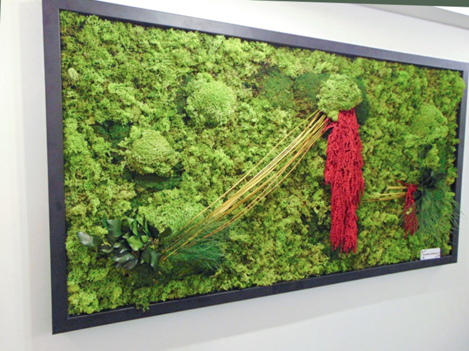 Giardini Vegetali Preservati - Mod. AV 2015 . - Adatto per Interno