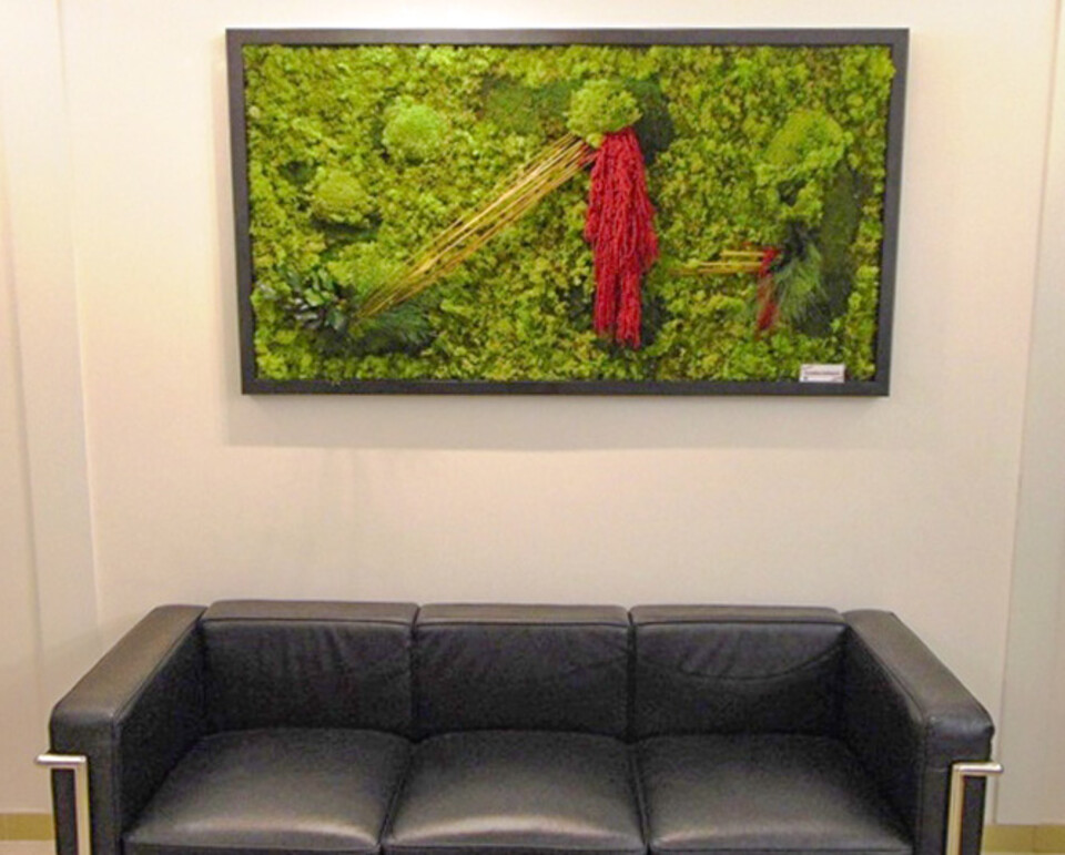 Giardini Vegetali Preservati - Mod. AV 2015 . - Adatto per Interno