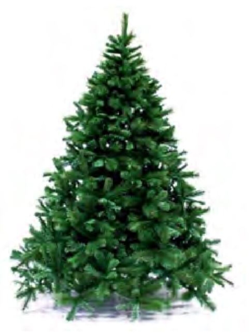 Albero Abete Alpino H 300 - Sconti per Fioristi e Aziende - Con 4117 rami