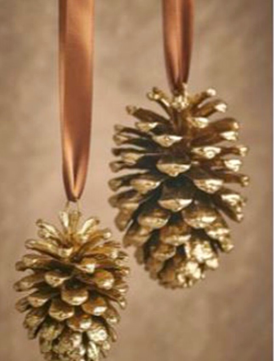 Pigne Aperte Picea dm. 11/12 - Sconti per Fioristi e Aziende - H 12/14 Conf. 1 Kg.