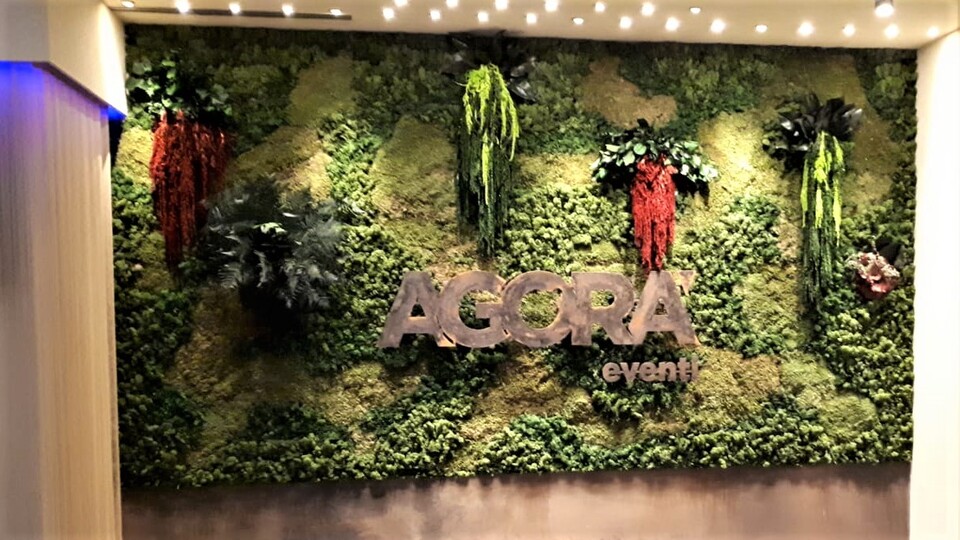 Giardini Vegetali Preservati - Sconti per Fioristi e Aziende - Adatto per Interno