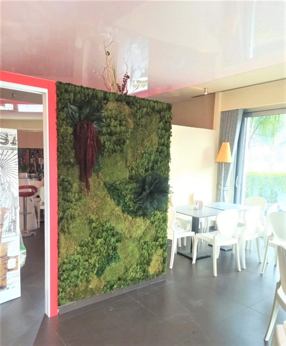 Giardini Vegetali Preservati - Sconti per Fioristi e Aziende - Adatto per Interno