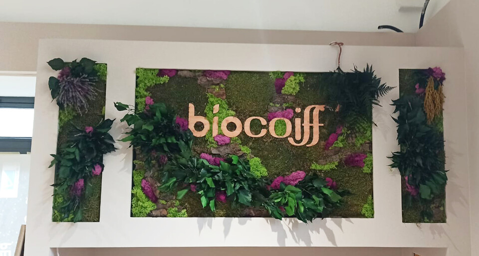 Giardini Vegetali Preservati - Sconti per Fioristi e Aziende - Adatto per Interno