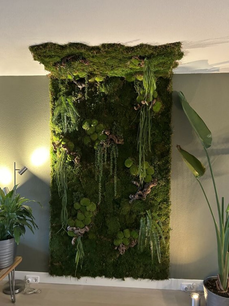 Giardini Vegetali Preservati - Sconti per Fioristi e Aziende - Adatto per Interno