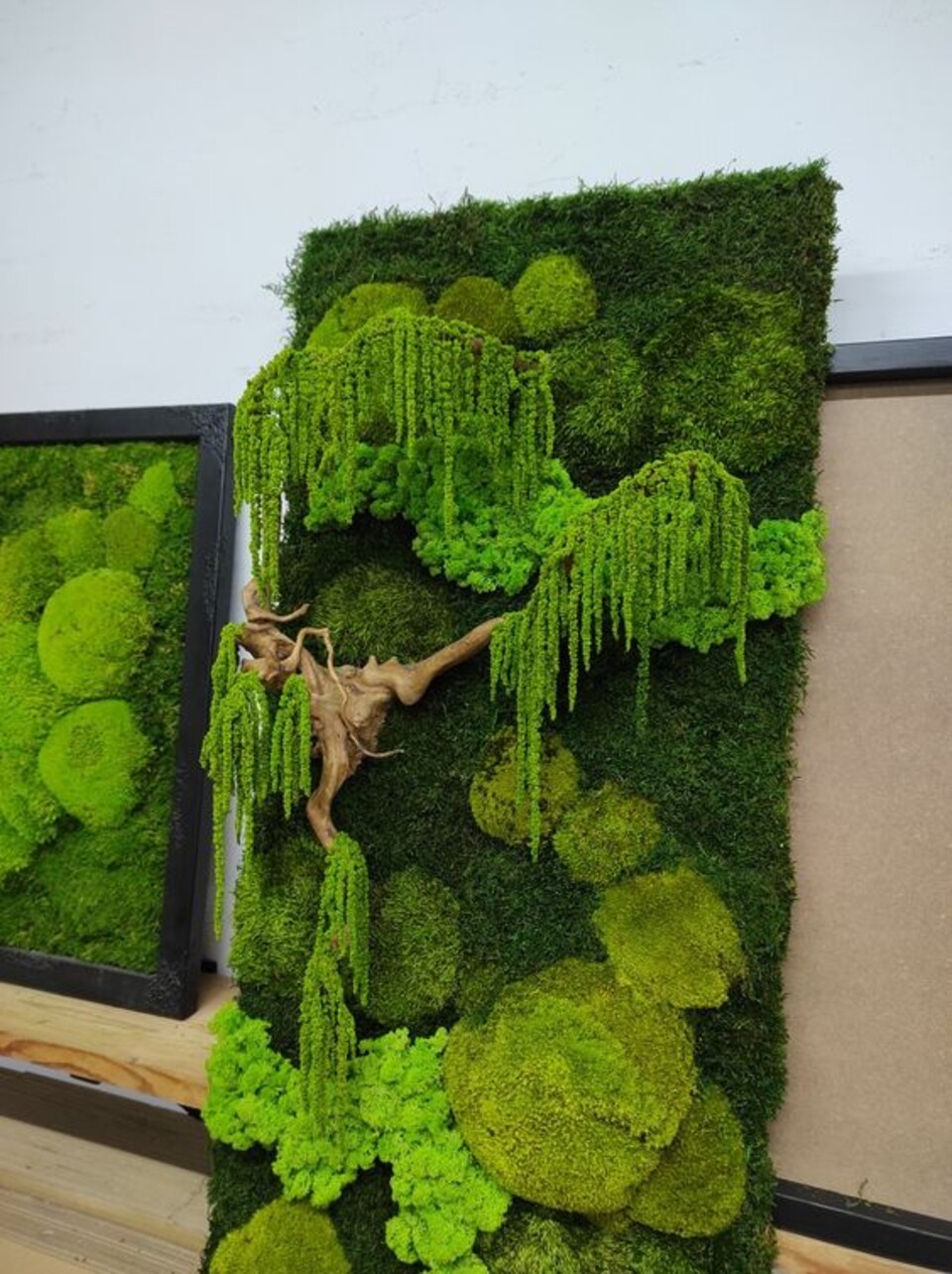 Giardini Vegetali Preservati - Sconti per Fioristi e Aziende - Adatto per Interno