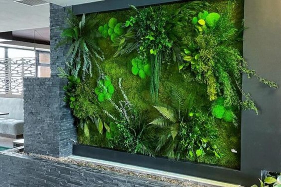 Giardini Vegetali Preservati - Sconti per Fioristi e Aziende - Adatto per Interno