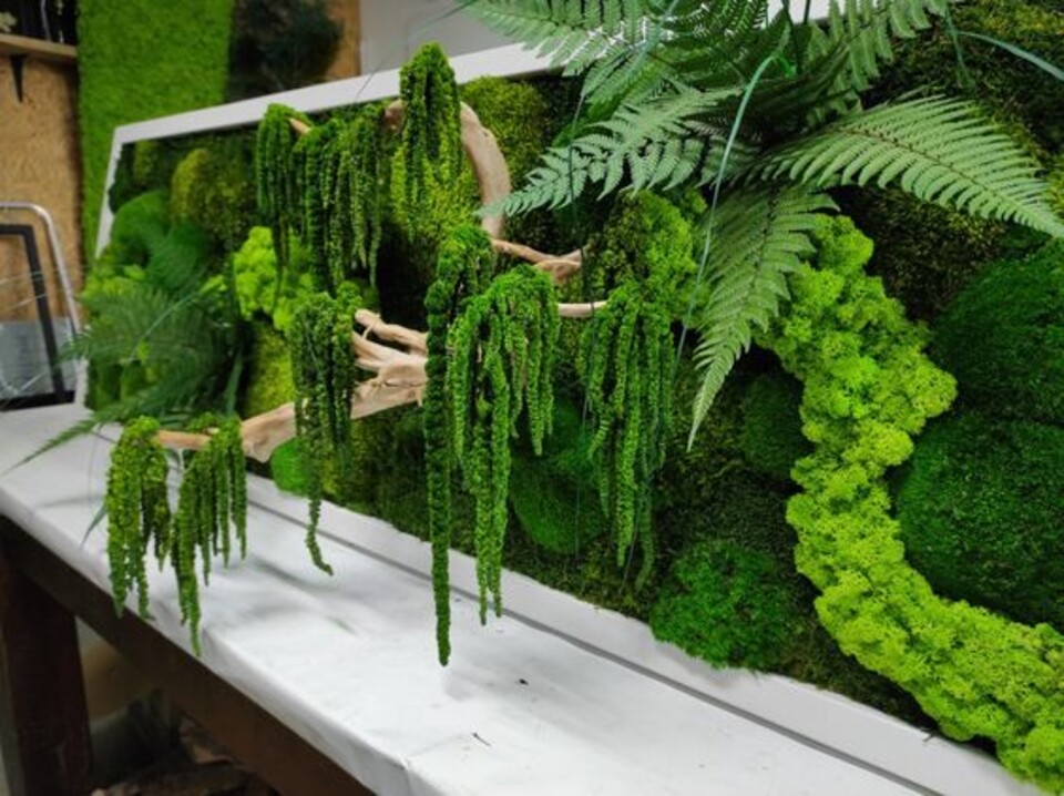 Giardini Vegetali Preservati - Sconti per Fioristi e Aziende - Adatto per Interno