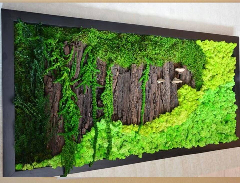 Giardini Vegetali Preservati - Sconti per Fioristi e Aziende - Adatto per Interno