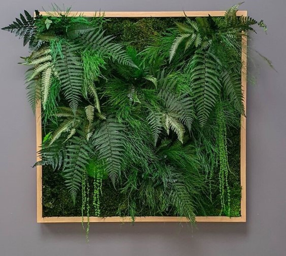 Giardini Vegetali Preservati - Sconti per Fioristi e Aziende - Adatto per Interno