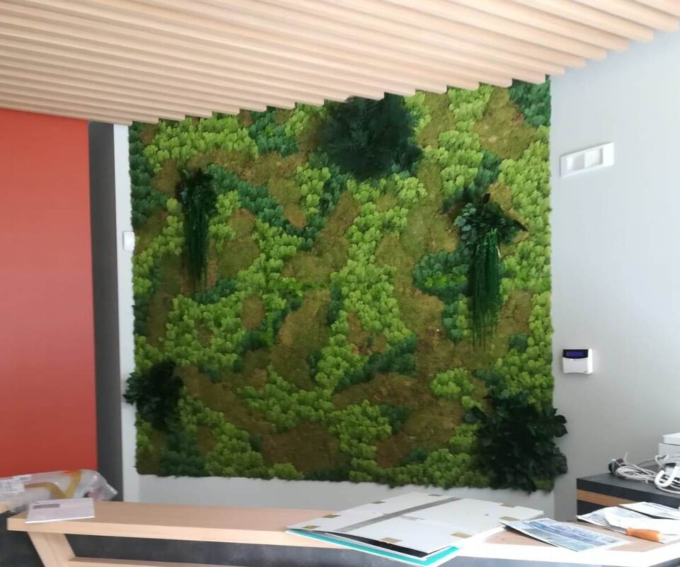 Giardini Vegetali Preservati - Sconti per Fioristi e Aziende - Adatto per Interno