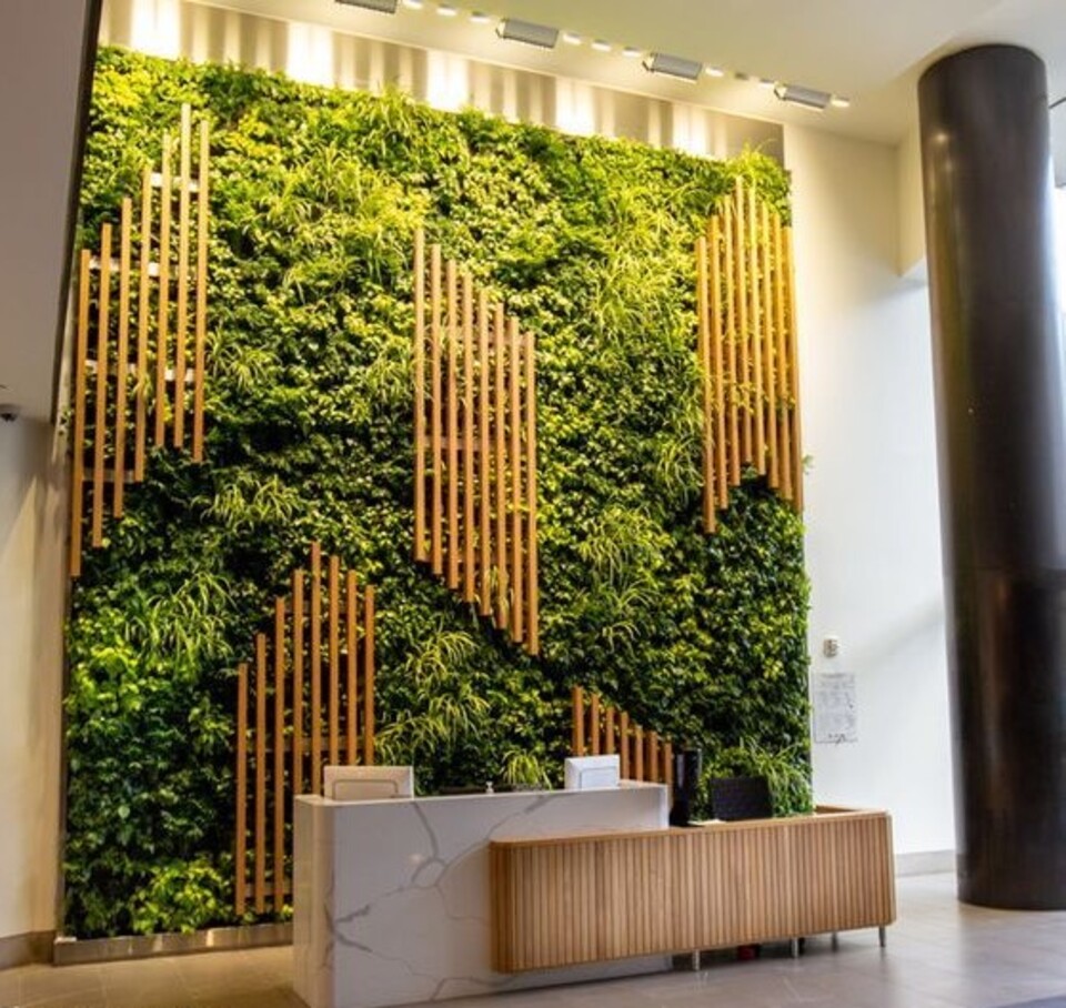 Giardini Vegetali Preservati - Sconti per Fioristi e Aziende - Adatto per Interno