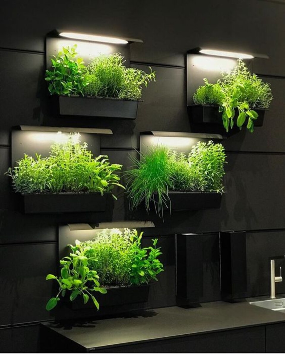 Giardino Verticale Artificiale  - Sconti per Fioristi e Aziende - Adatto in esterno ed Interno