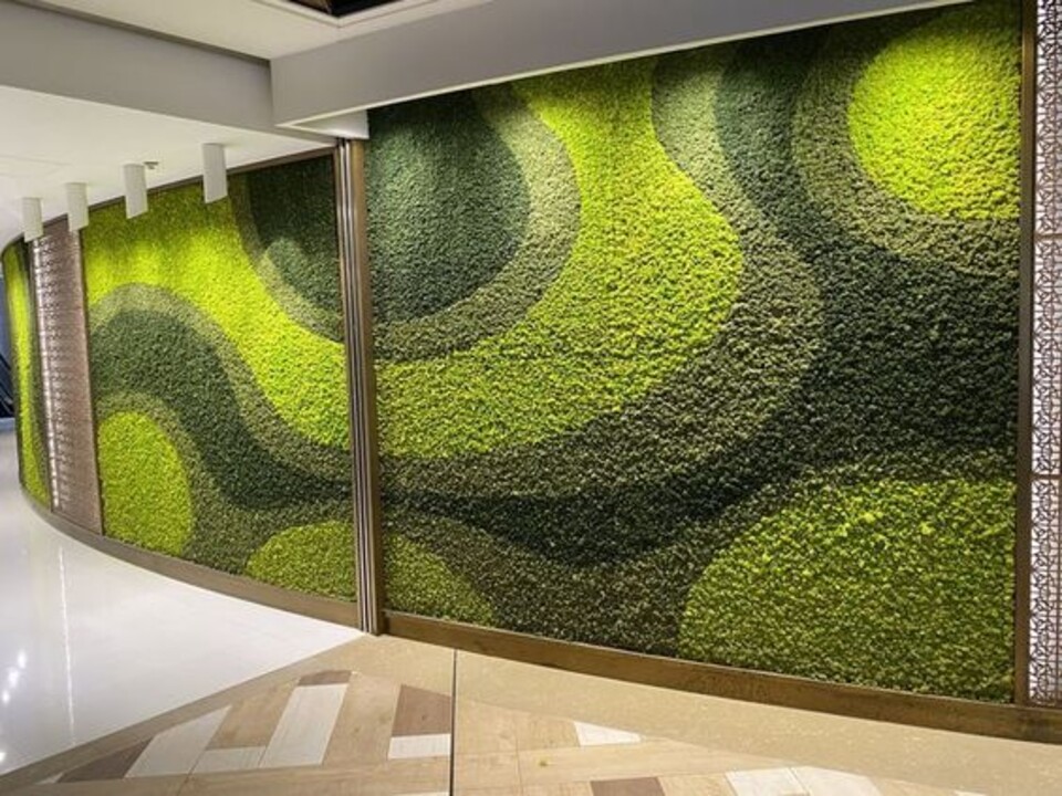 Parete Moss Stabilizzata Wall Moss  - Sconti per Fioristi e Aziende - a metro quadrato