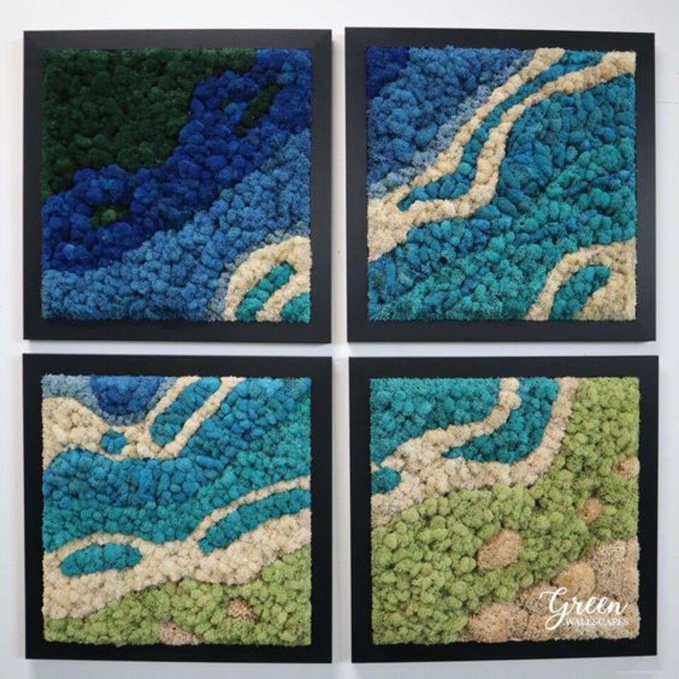 Parete Moss Stabilizzata Wall Moss  - Sconti per Fioristi e Aziende - a metro quadrato