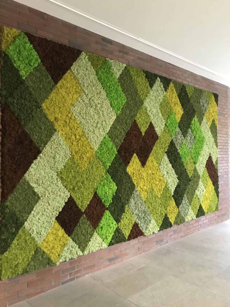 Parete Moss Stabilizzata Wall Moss  - Sconti per Fioristi e Aziende - a metro quadrato