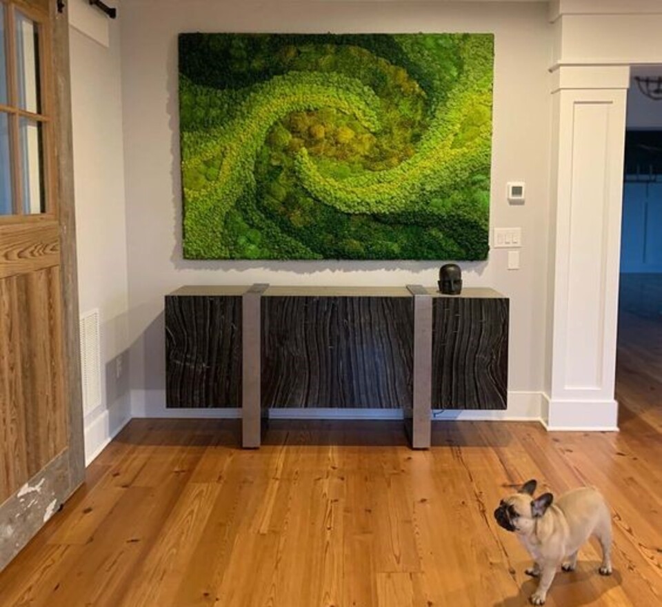 Parete Moss Stabilizzata Wall Moss  - Sconti per Fioristi e Aziende - a metro quadrato