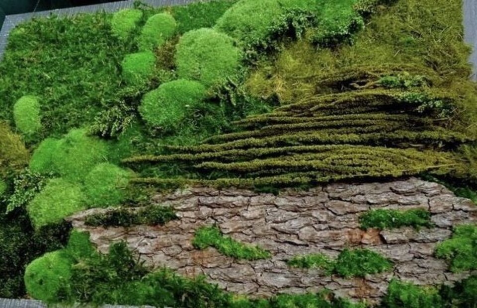 Copia di Giardini Vegetali Preservati - Adatti soltanto per interni . - Stile Sughereto