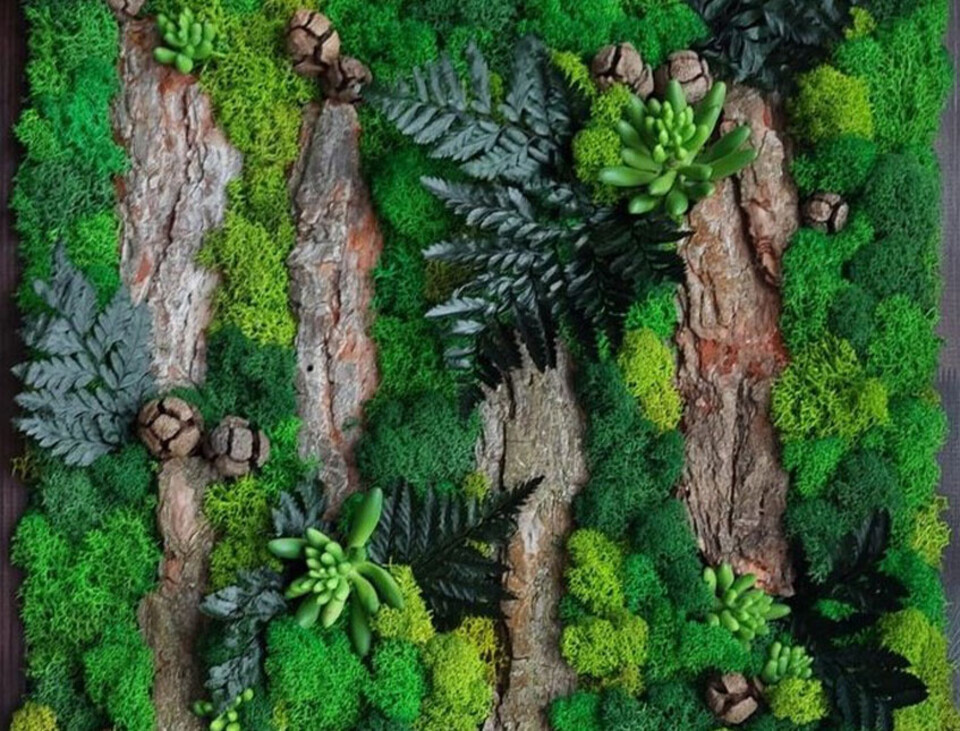 Giardini Vegetali Preservati - Adatti soltanto per interni . - Stile Garden Boschivo