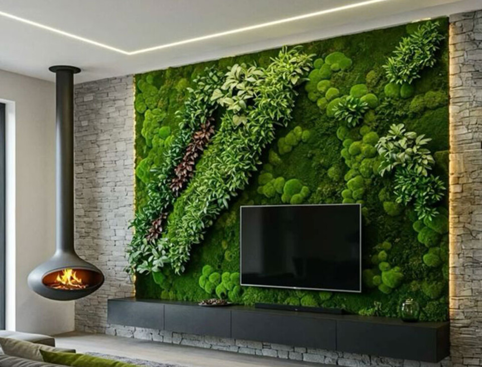 Giardini Vegetali Preservati - Adatti soltanto per interni . - Stile Garden Fasciato