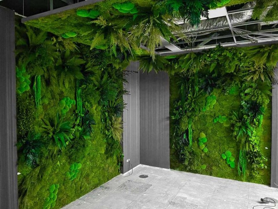 Giardini Vegetali Preservati - Adatti soltanto per interni . - Stile Nicchia