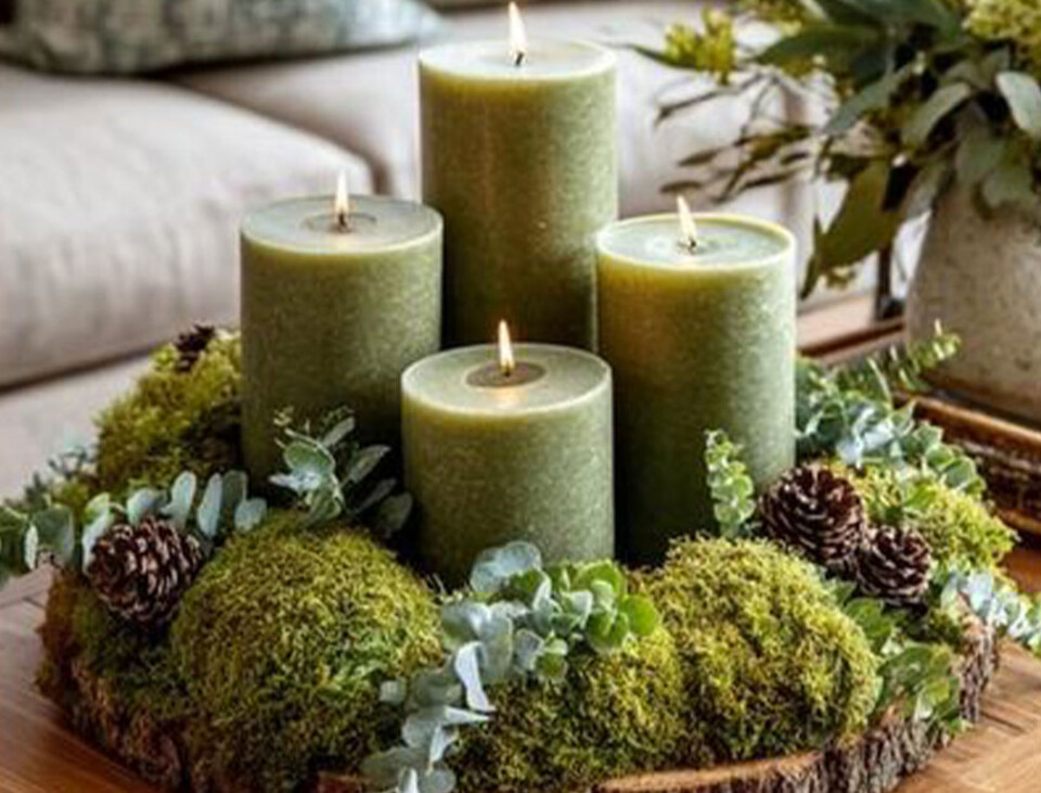 Muschio Ball Moss /Pole Moss Preservato - Sconti per Fioristi e Aziende - Leucobrium Glaucum