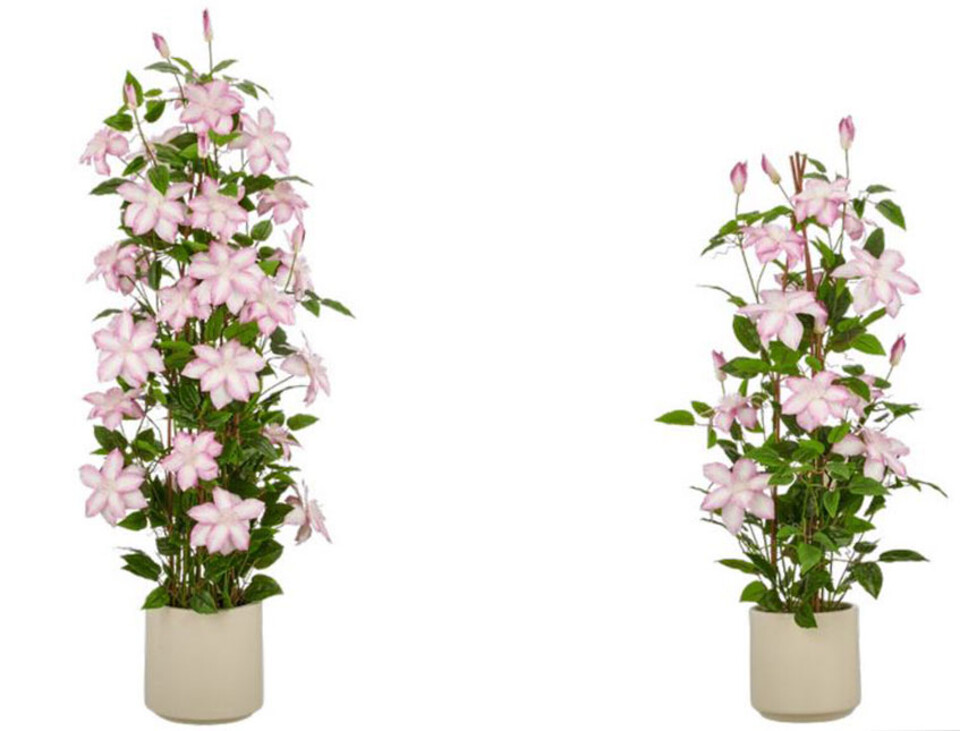 Clematis Fiorita x 3 in poliester - Sconti per Fioristi e Aziende