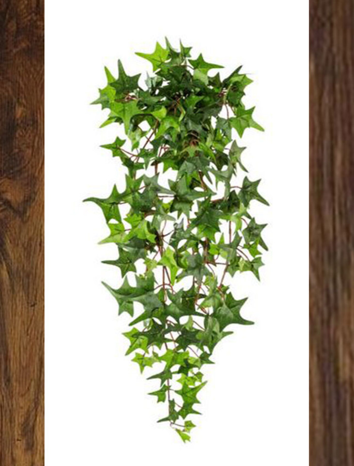 Edera Artificiale H 60 cm. - Sconti per Fioristi e Aziende . - Pitzsburgh con 175 foglie