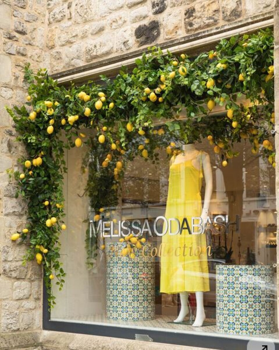 Limoni x 6  steccati H 13 - Sconti per Fioristi e Aziende .