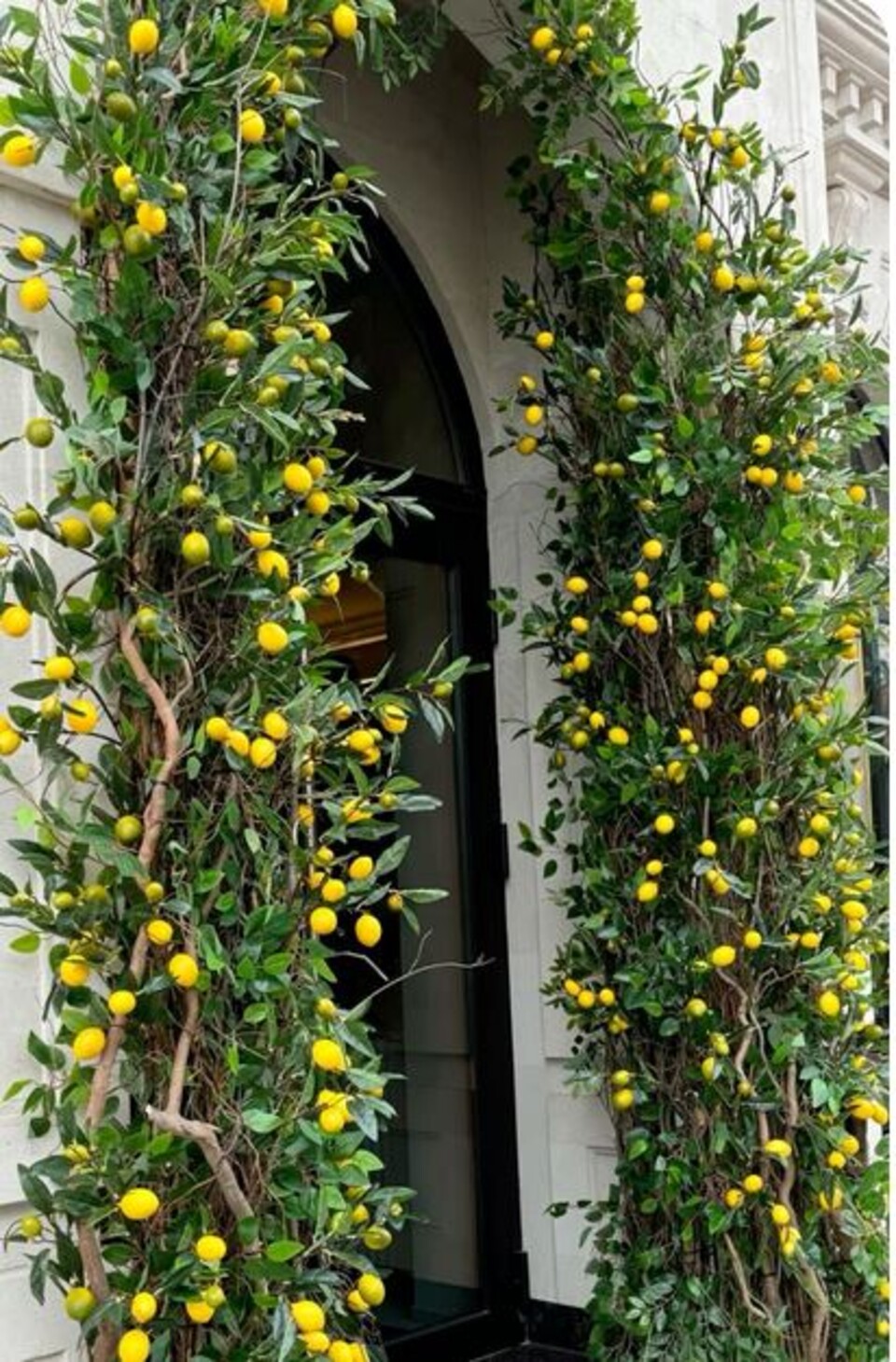 Limone artificiale in plastica - Sconti per Fioristi e Aziende e Wedding . -cm. 6 x 8