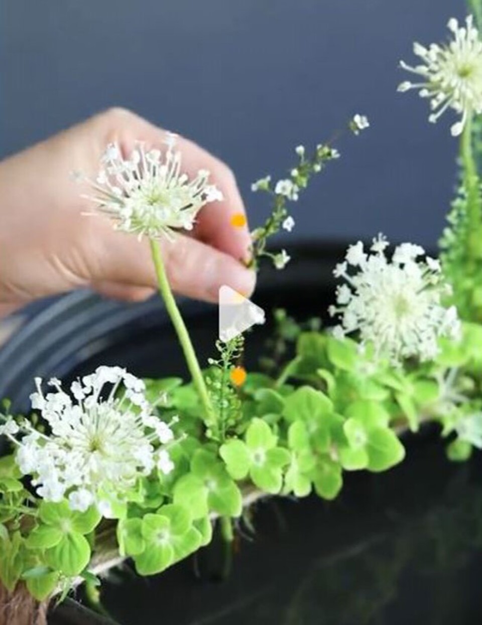 Queen Anne's Lace x 3  H 84 - Sconti per Fioristi e Aziende . - In poliester