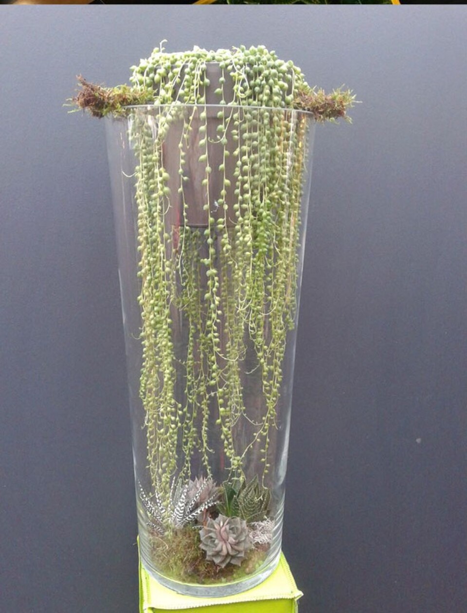 Cono in vetro H 50 dm. 17 Classico - Sconti per Fioristi e Aziende