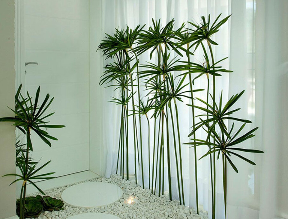 Papiro Artificiale in gomma H 107 - Sconto per Fioristi e Aziende . - con 24 foglie