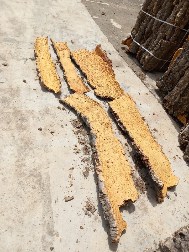 Corteccia di Sughero al Kg.- Sconti per Fioristi e Aziende . - Spessore 2-3 cm. circa