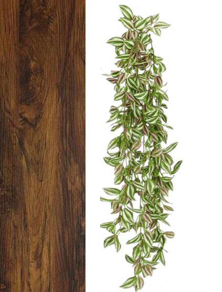 Tradescanzia cadente H 60  - Sconti per Fioristi e Aziende - Purple in 2 modelli