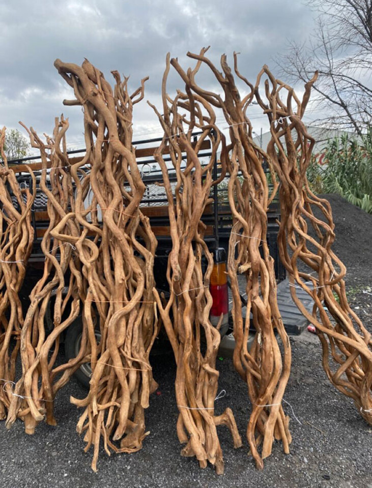 Cipo Rosca Naturale H 220 - Sconti per fioristi e Aziende . - Liana Intrecciata Dm. 4