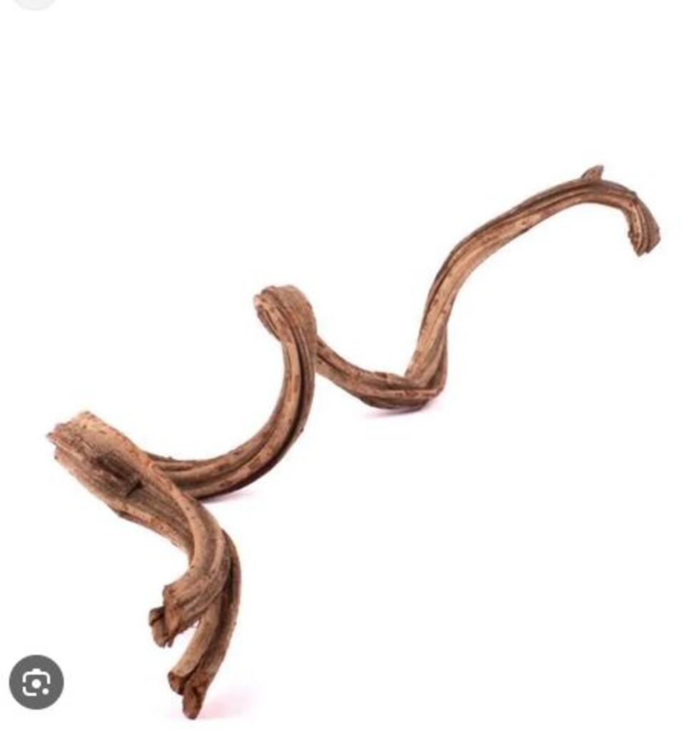 Cipo Rosca Naturale H 220 - Sconti per fioristi e Aziende . - Liana Intrecciata Dm. 4