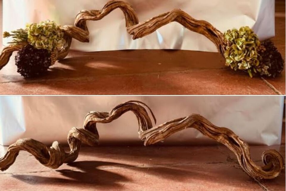 Cipo Rosca Naturale H 200  - Sconti per fioristi e Aziende - Ramo Contorto dm. 3