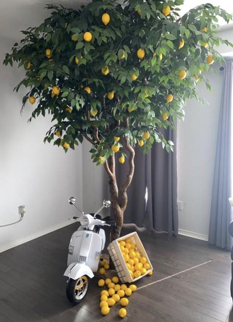 Limone artificiale in plastica - Sconti per Fioristi e Aziende e Wedding . -cm. 6 x 8