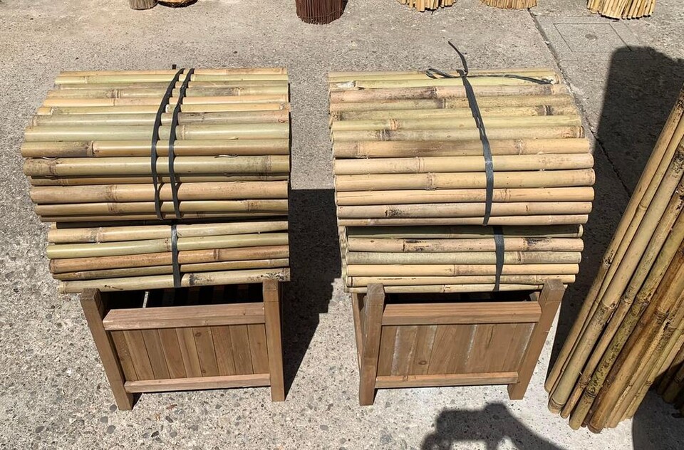 Arella di Canniccio Legato  - Sconti per Fioristi e Aziende . - Canna Intera H 50 x 3 metri